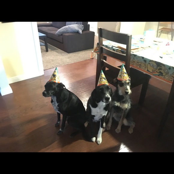 Meet your Posher, Jessica - Picture 1 of 4